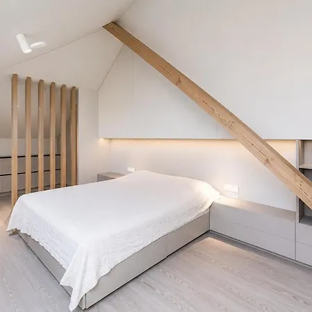 Unique In The Heart Of The Apartmán Kaunas